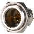 AMPHENOL AG4MCC Male Mini XLR 4 Pins Plug Gold Plated