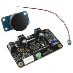 TINYSINE TSA2210 Kit Amplificateur TPA3110D2 Bluetooth 4.0 2x 8W 4 Ohm