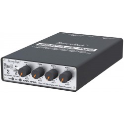 BERRYBAK BDSP2.4U PRO 4-Channel DSP Preamplifier