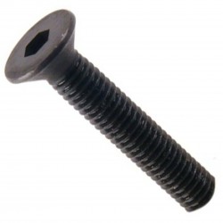 Vis TFHC Tête Fraisée Acier 10.9 BTR M2x10mm Noir (x10)