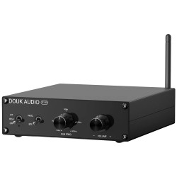 DOUK AUDIO G100 Amplificateur Class D pour Subwoofer TPA3116D2 2x50W 50Hz-300Hz