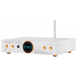 DOUK AUDIO Q100 DAC AKM AK4191+AK4499EX XMOS XU316 Bluetooth 5.1 32bit 768kHz DSD512