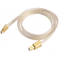 DD HIFI TC19BC Comet Gold Câble USB-B Mâle vers USB-C Mâle Argent OCC Plaqué Or 100cm