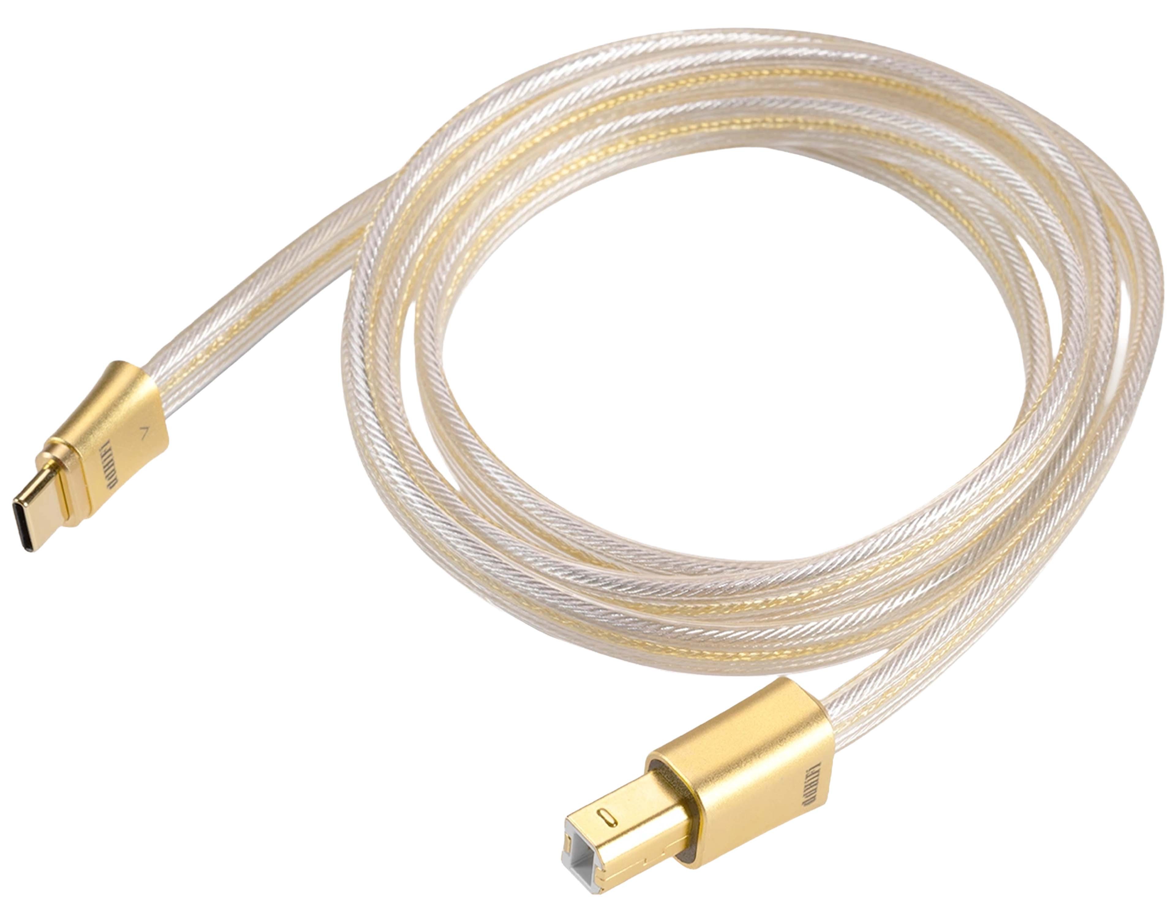 DDHIFI TC19BC COMET GOLD Câble USB-B Mâle vers USB-C Mâle Argent OCC Plaqué Or 100cm