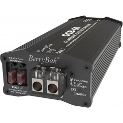 BERRYBAK PS-SP16113 GCB-60 12V Capacitor Power Filter for Car Audio