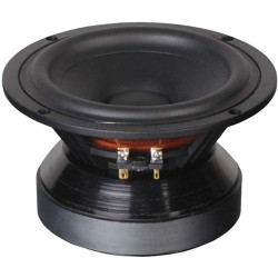 TANG BAND W6-1721 Haut-Parleur de Grave 50W 4 Ohm 88dB 40Hz-5000Hz