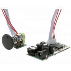 Dayton Audio DTA-2 Class T Digital Audio Amplifier Module