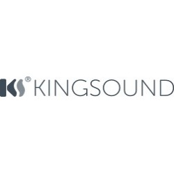 KINGSOUND MP-20 Tube Amplifier for Electrostatic Headphone