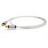 OYAIDE Continental 5S USB-A Male / USB B Male 2.0 Cable Silver & Rhodium 0.6m (Unit)