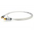 OYAIDE Continental 5S Câble USB-A Mâle / USB-B Mâle 2.0 Silver & Rhodium 1.8m