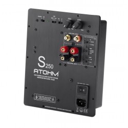 ATOHM S250 ICE POWER Amplifier module Class-D Subwoofer