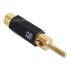 RAMM AUDIO 20800-GT Banana plug Gold plated Tellurium Copper Ø8mm (La paire)