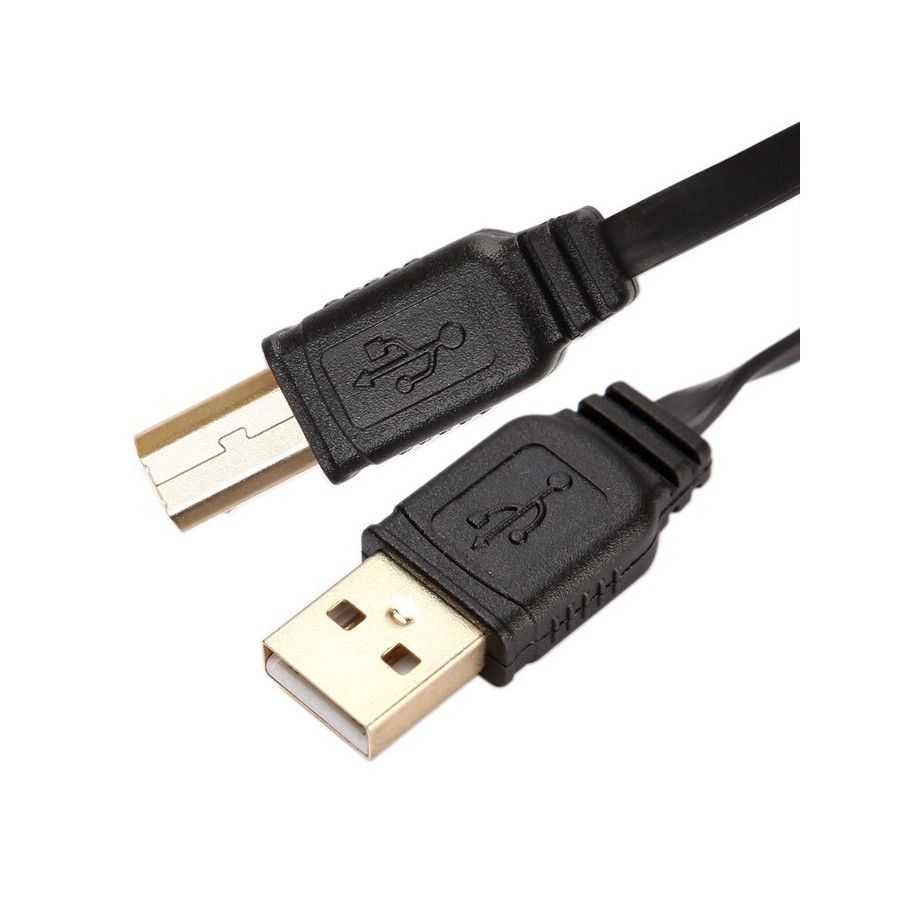 CYK flat Cable USB A USB B 2.0 Gold plated 24K 1.5m Audiophonics