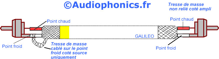 schema.jpg