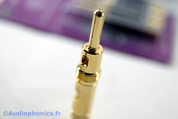 https://www.audiophonics.fr/images2/4935-4936_1877PHONO-GC_4.jpg