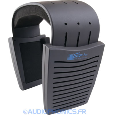 https://www.audiophonics.fr/images2/6197/6197_ERGO1_2.jpg