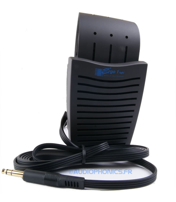 https://www.audiophonics.fr/images2/6197/6197_ERGO1_3.jpg