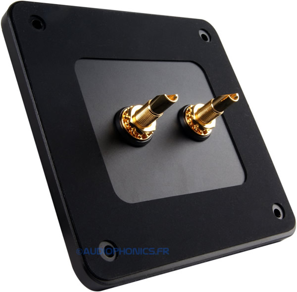https://www.audiophonics.fr/images2/6916/6916_VIABLUES120SINGLETERMINAL_2.jpg