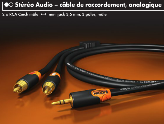 https://www.audiophonics.fr/images2/8729/8729_hicon_hie-c2j3_jack_rca_1.png