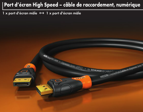 https://www.audiophonics.fr/images2/8753/8753_hicon_HIE-DPDP_hdmi_2.png
