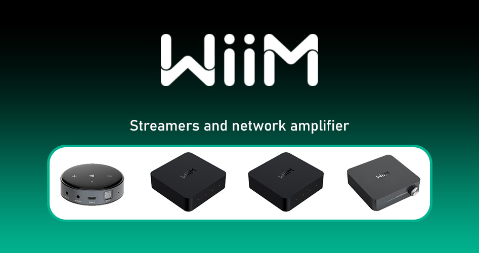 WiiM Mini AirPlay2 Wireless Audio Streamer, Multiroom Stereo, Preamplifier,  Works with Alexa and Siri Voice Assistants, Stream Hi-Res Audio from