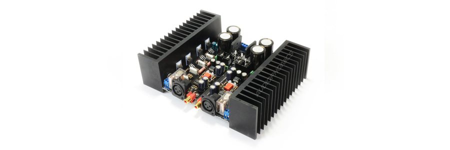 module amplificateur mono
