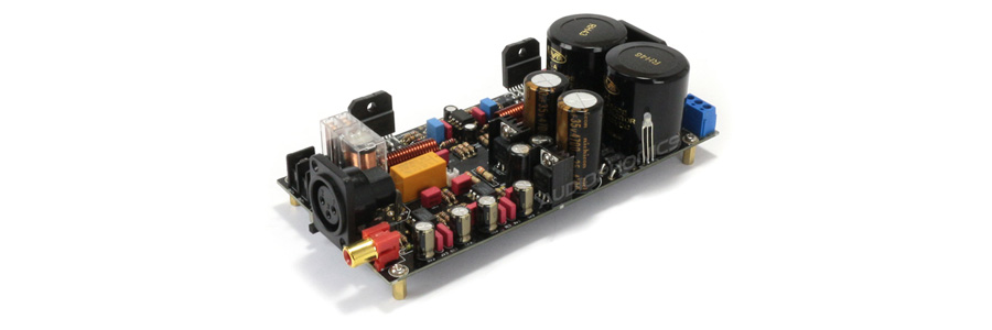 module amplificateur mono