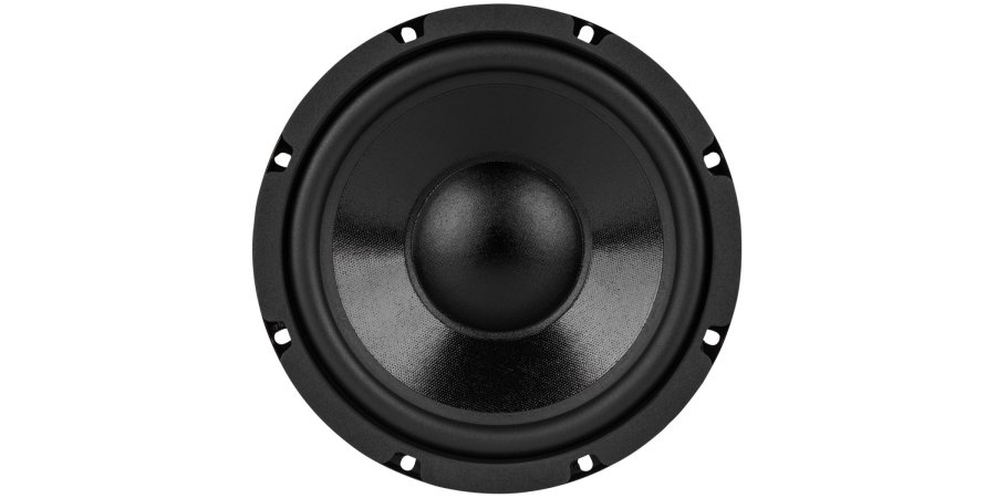 DCS205-4 Classic subwoofer vue de face