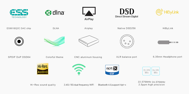 SMSL DP3 Network Drive features