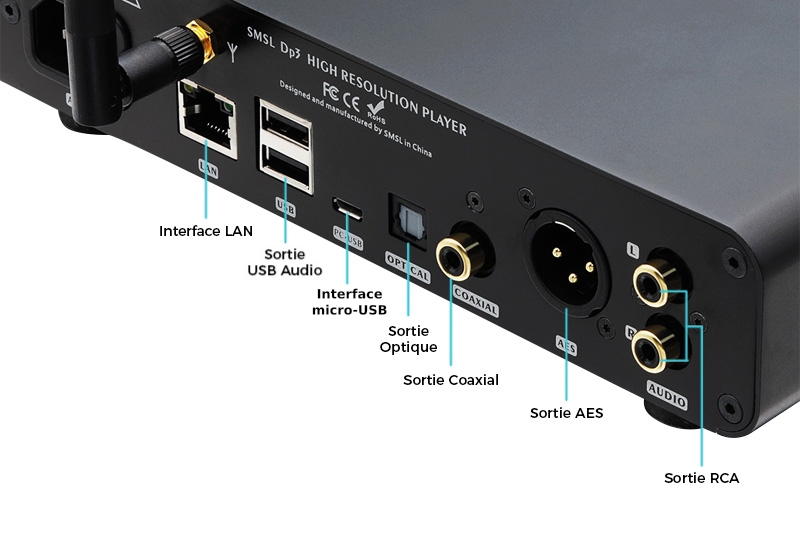 SMSL DP3 Connectique