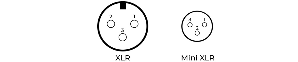 Adaptateur Mini XLR Femelle vers XLR Femelle