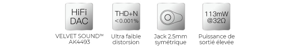 iBasso DC01 Adaptateur DAC Symétrique USB-C Hi-Res AK4493 32bit 384kHz DSD256