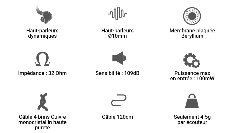 Fiio FD1 Écouteurs Intra-Auriculaires IEM Haut-Parleurs Dynamique Plaqués Beryllium