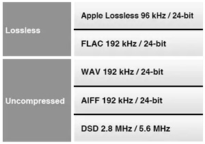 Yamaha MusicCast NP-S303 Lecteur Réseau Audio WiFi AirPlay DLNA Bluetooth 24bit 192khz DSD128