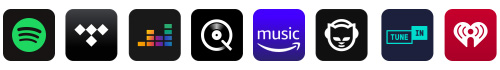 WiiM Pro Lecteur Réseau Audio Bit-Perfect WiFi Ai<span id=