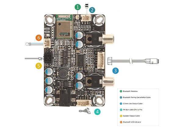 Schéma de câblage du pack WONDOM AA-AA11435 avec le module AA-AB3116 (BRB3) 