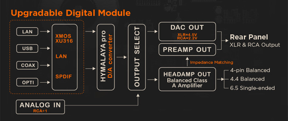 Le circuit du DAC HIFIMAN SERENADE
