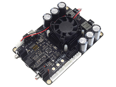 Photo du module amplificateur TinySine TSA8802D