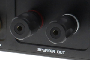 Audiophonics HPA-DM500NIL: speaker terminals