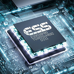 Roseselsa RT-5000 : ESS DAC chip