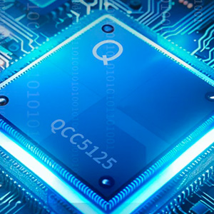 Roseselsa RT-5000 : Bluetooth chip