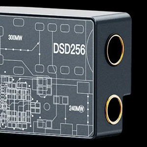 Roseselsa RS9029 : Back view and jack outputs