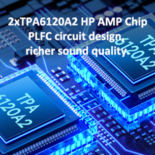 Photo of SMSL M20 TPA6120A2 chips