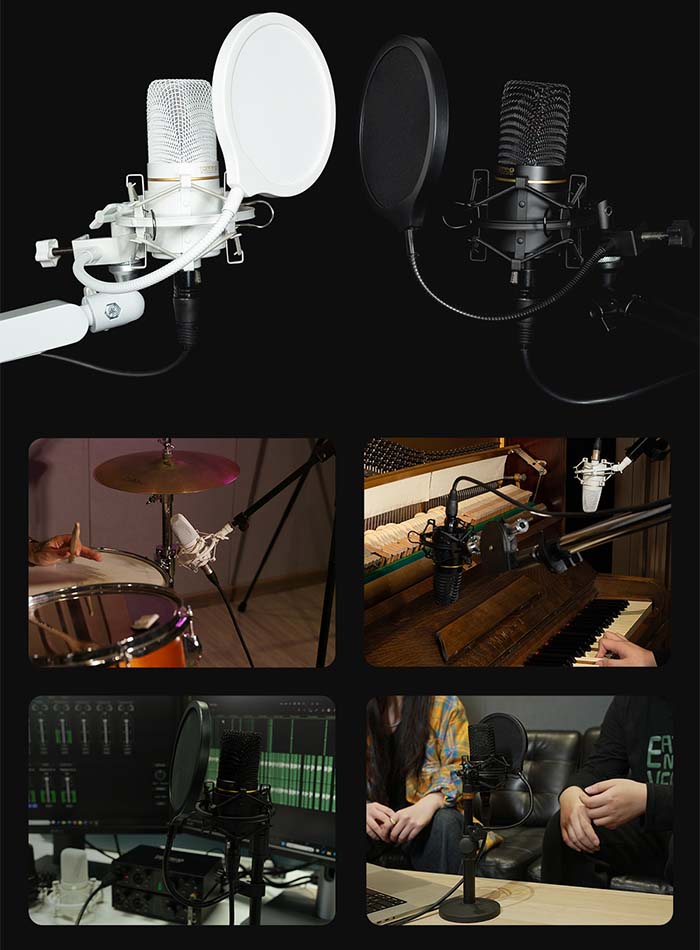 Photo du Topping Professional CL101