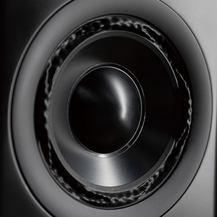 Zoom in on the A6B woofer
