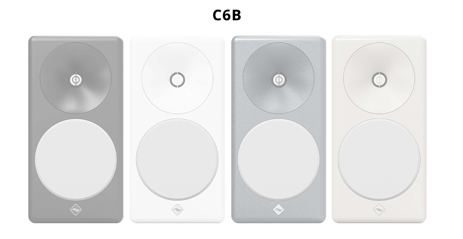 Example of C6B with white woofer grilles