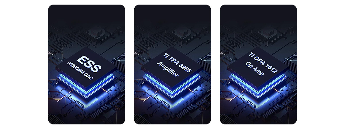WiiM Amp Ultra: DAC and amplifier chip