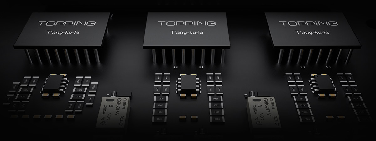 Topping A900: T'ang-ku-la amplifier modules