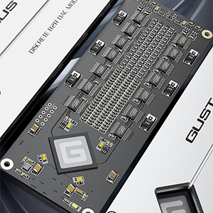 Gustard R30 : R2R module