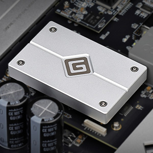 Gustard R30 : Digital filter module